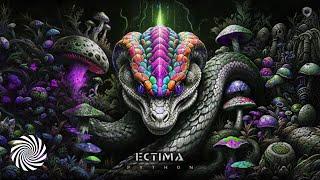 Ectima - Python