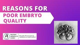 What is the commonest reason for poor embryo quality?