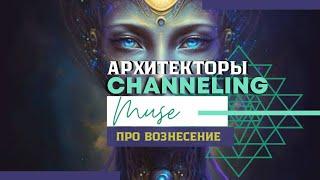 Этапы духовной эволюции. Путь вознесения Души. Ченнелинг Архитекторы через Музу Малахит