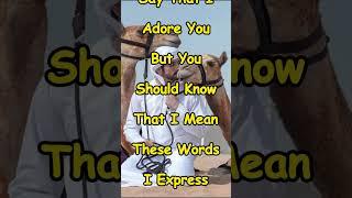New Fazza Love Poem In English Translation