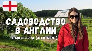 САДОВОДСТВО В АНГЛИИ (ALLOTMENTS): ТУР ПО НАШЕМУ ОГОРОДУ В ЛОНДОНЕ. Будем выращивать свои овощи?