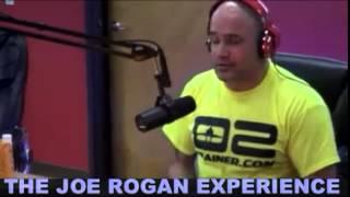 "Street Karate" with Bas Rutten (from Joe Rogan Experience #335)