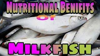 WHAT IS THE NUTRITIONAL BENEFITS OF MILKFISH?...#fish #milkfish