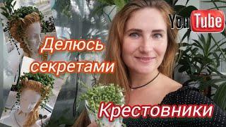 КРЕСТОВНИКИ! Мои семь секретов ухода!