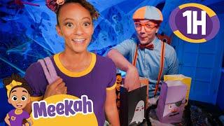 Blippi & Meekah’s Silly-Scary Halloween Adventure! | 1 HR OF MEEKAH! | Educational Videos for Kids