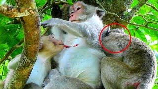 O.M.G! Jane monkey choose the way right break!ng her big kid nursing very spoiled without reaction.