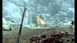 TESV. Skyrim. 2 стрелы дракону + привет от Эсберна