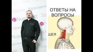 Ответы на вопросы по теме "Шея"