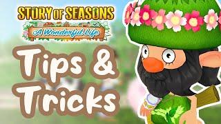 15+ Must Know Tips and Tricks | Story of Seasons A Wonderful Life