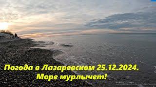 Погода в Лазаревском 25.12.24. Штиль!  ССылка в описании! ЛАЗАРЕВСКОЕ СЕГОДНЯСОЧИ.