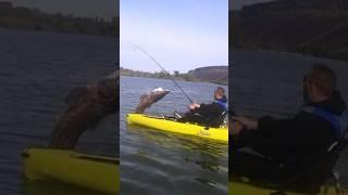 “You’re gonna need a bigger boat.” -Jaws #bigfish #fishing #fish #kayakfishing #idaho #outdoors