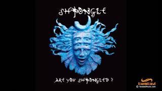 Shpongle - Are You Shpongled? [FULL ALBUM]