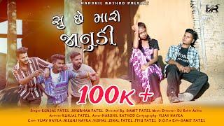 SU CHE MARI JANUDI (FULL SONG) HARSHIL RATHOD || SAMIT PATEL || KUNJAL PATEL || AADIVASI SONG 2024