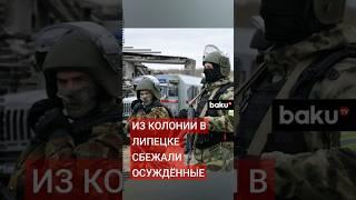 Шeсть осужденных сбежали из ИК-2 в Липeцкой области