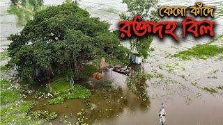 সৌন্দর্যের আড়ালে আন্দোলনের ইতিহাস বহন করছে উত্তরের যে বিল || History of Roktodoho Beel