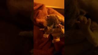 Short-Time intakes. These HOURS-old newborns came in, however. . .