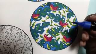 Color with me | Camlin diy colouring book for grown ups page 1