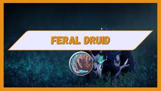 Feral Druid 11.1 Full M+ Guide TWW Season 2