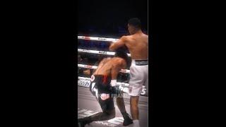 This Boxer has Amazing Dodging  #shorts