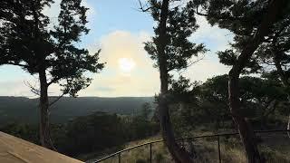 Sunlight Through the Trees #asmr #nature