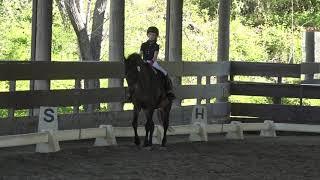 Omen’s Pride & Sage Chacon - Training Level Test 1 - ICC Spring Schooling Show 2019