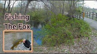 Best fishing spots on the fox River. They're biting at Algonquin dam. #foxriver #foxtrekking