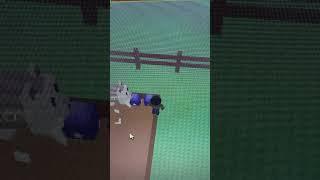 Grow a garden can we hatch the raccoon after update