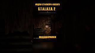 Как найти сталкера Косого? S.T.A.L.K.E.R. 2: Heart of Chornobyl #игры #сталкер #stalker #gaming