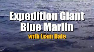 Expedition Giant Blue Marlin with Liam Dale