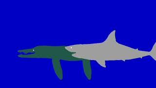 liopleurodon vs great white shark stick nodes pro Animations