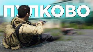 Пулковская бойня в DayZ