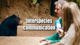 Interspecies Communication & Bears