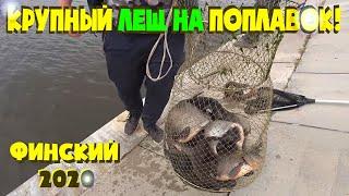 ПОКЛЕВКИ ЛЕЩА ОДНА ЗА ОДНОЙ! РЕАЛЬНО БЕШЕНЫЙ КЛЁВ РЫБЫ. МОЯ ЛУЧШАЯ РЫБАЛКА. ХОРОШИЙ ЛЕЩ НА ПОПЛАВОК