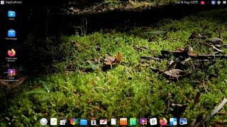 Give a new look to your Linux Mint XFCE desktop | Linux Customization