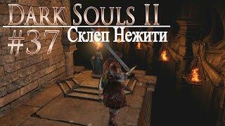 давай поиграем в Dark Souls II #37 - Склеп Нежити (+DLC)