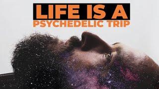 Is Life a Psychedelic Trip? What Is the True Nature of Reality?