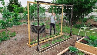 This Method of Trellising Tomatoes is a Game Changer!