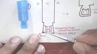 Carving of maxillary central incisor