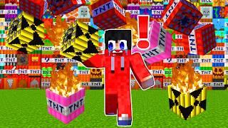 Minecraft, aber die GANZE MAP explodiert wegen MEGA TNT!