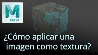 ¿Cómo aplicar textura en Maya?