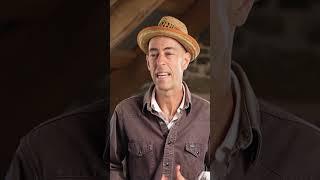 Start a Permaculture Food Forest