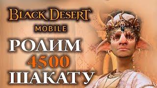 [Black Desert mobile] Ролим лавку шакату на акке AmFrid  4500+  Древних монет.  Нарезка со стрима