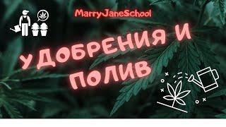 Полив марихуаны. Удобрения для марихуаны. Удобрения BIOBIZZ.