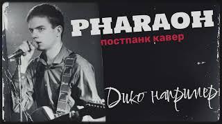 PHARAOH - Дико например (но это постпанк)