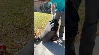 How good is a Vacuum?