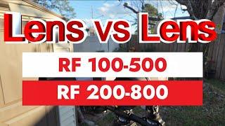 Canon RF 100-500 vs 200-800