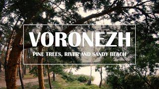 VORONEZH RIVER & PINE TREES | Песчаный пляж и сосновый лес на реке Воронеж (Воронеж, 2021)