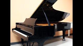 Steinway D, 1975, Hamburg Germany - Atlantic Music Center Demo