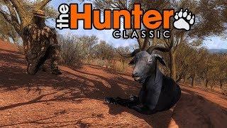 The Hunter CLASSIC - Охотимся на чернохвостого оленя и оленя Рузвельта!