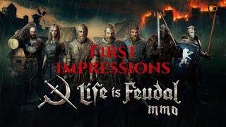 Life is Feudal: MMO - Patch 0.20.0 - 2019 Gameplay - First Impressions